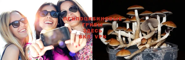 ГАЛЛЮЦИНОГЕННЫЕ ГРИБЫ Алексеевка