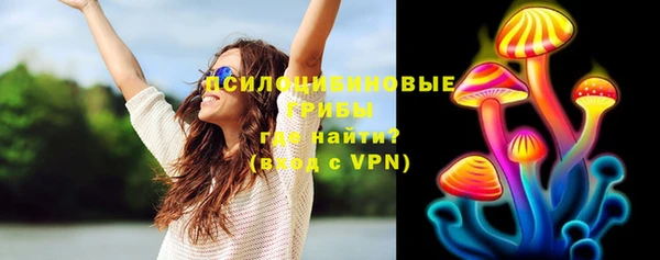 ГАЛЛЮЦИНОГЕННЫЕ ГРИБЫ Алексеевка